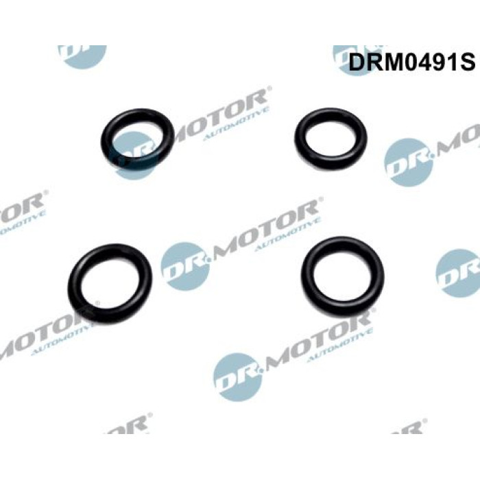 DR.MOTOR Dichtring, Sensorhalter DRM0491S DR.MOTOR Dichtring, Sensorhalter DRM0491S
