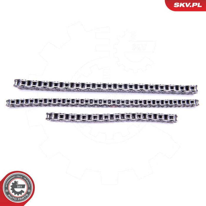 21SKV122 ESEN SKV Steuerkettensatz 21SKV122 21SKV122 ESEN SKV Steuerkettensatz 21SKV122