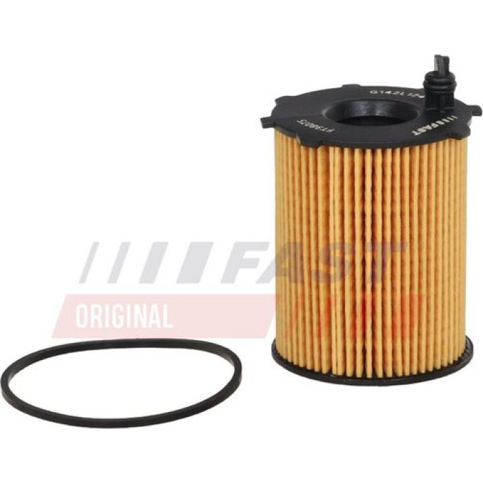 FT38075 FAST Ölfilter FT38075 FT38075 FAST Ölfilter FT38075