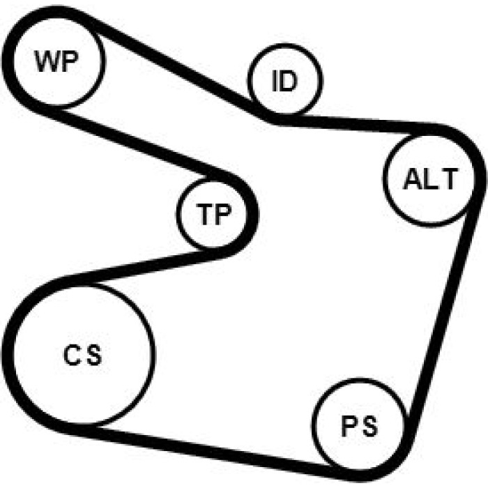 6PK1538WP2 Continental CTAM Timing-Kit 6PK1538WP2 6PK1538WP2 Continental CTAM Timing-Kit 6PK1538WP2