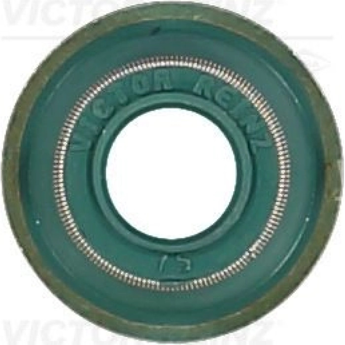 70-26545-00 Reinz Ventilschaftdichtung(8x/Motor) 70-26545-00