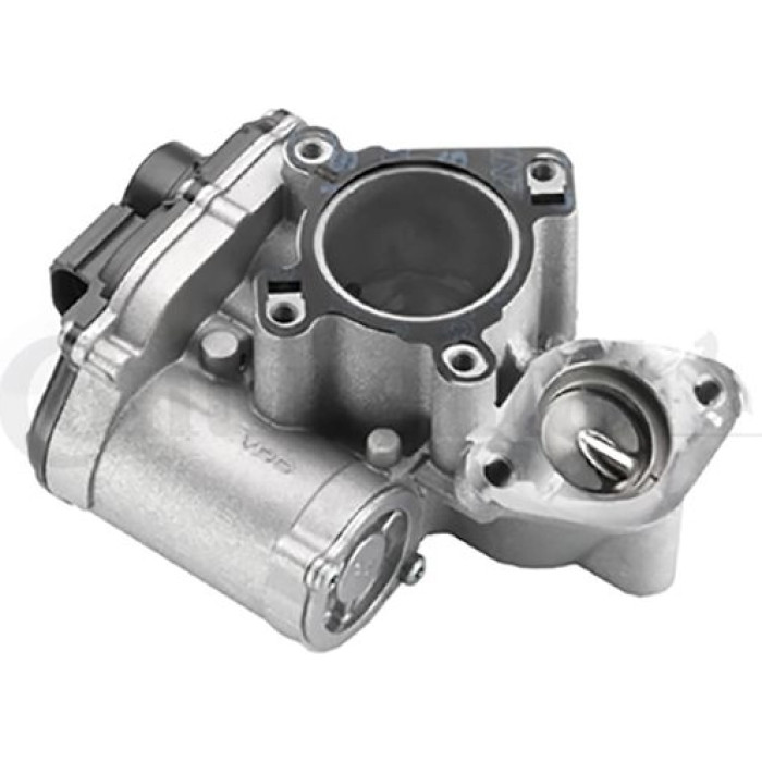 408-265-001-014Z AGR-Ventil