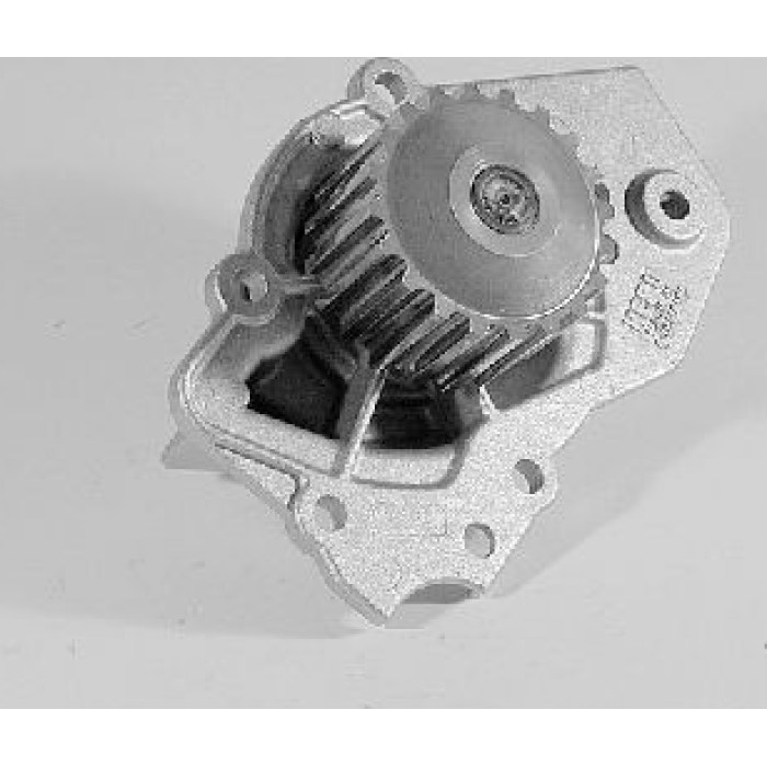HEPU Wasserpumpe / Kühlmittelpumpe P815