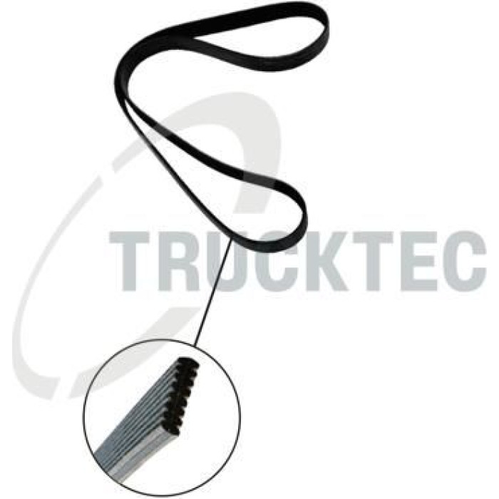 TRUCKTEC AUTOMOTIVE Zahnriemen 08.19.262 TRUCKTEC AUTOMOTIVE Zahnriemen 08.19.262