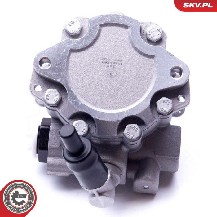 10SKV282 SKV GERMANY Hydraulikpumpe 10SKV282
