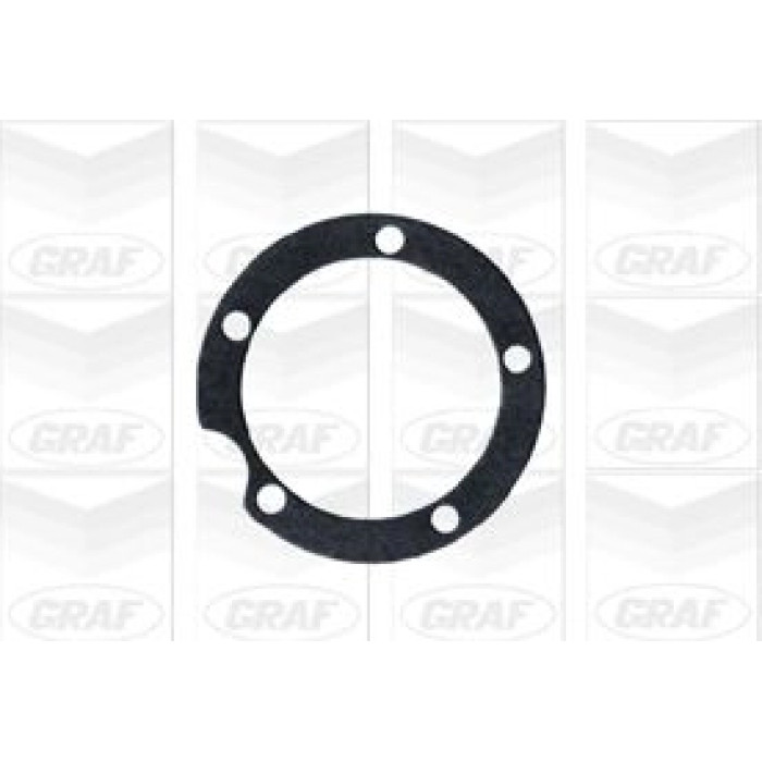 GRAF Wasserpumpe PA134 GRAF Wasserpumpe PA134
