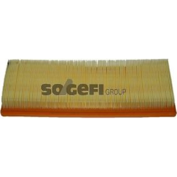 FRAM Luftfilter CA3373 FRAM Luftfilter CA3373
