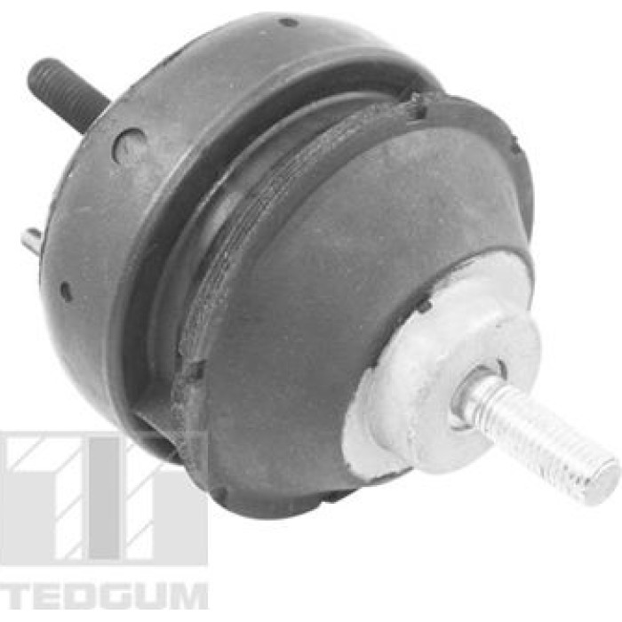 TEDGUM Motorlagerhalter 00221186 TEDGUM Motorlagerhalter 00221186