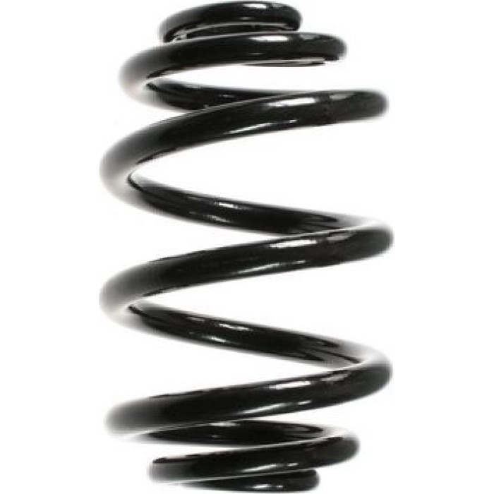 Spidan Fahrwerksfeder 55123 - Hinterachse Spidan Fahrwerksfeder 55123 - Hinterachse