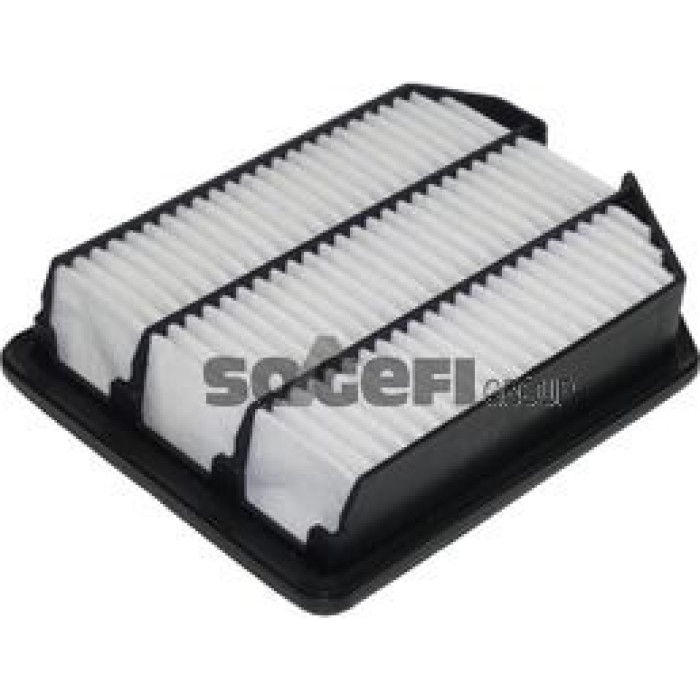 FRAM Luftfilter CA10915