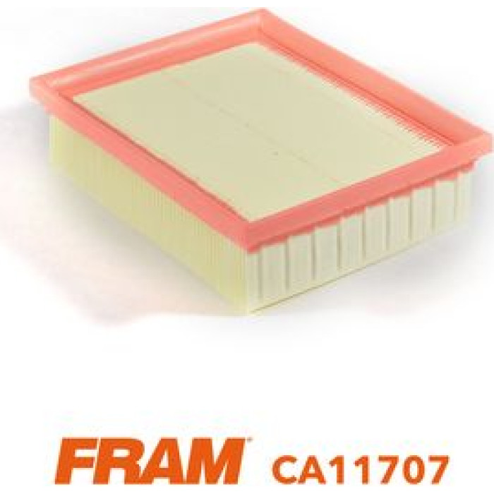 FRAM Luftfilter CA11707