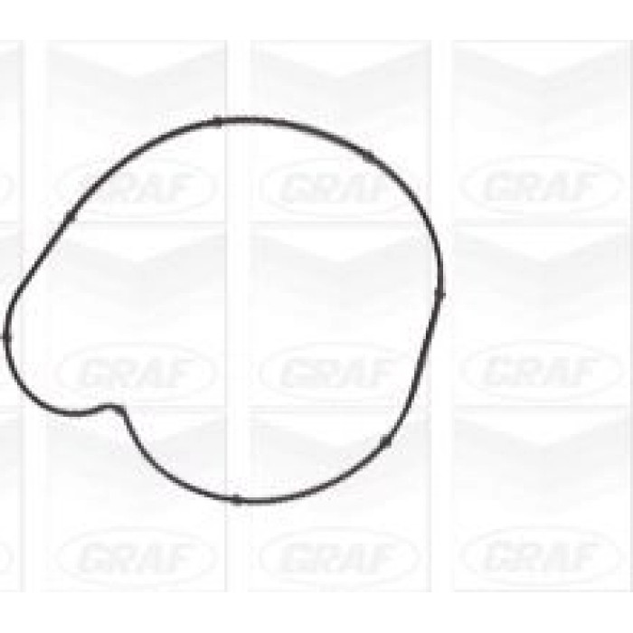 GRAF Wasserpumpe PA1107 GRAF Wasserpumpe PA1107