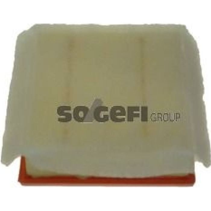 FRAM Luftfilter CA10212
