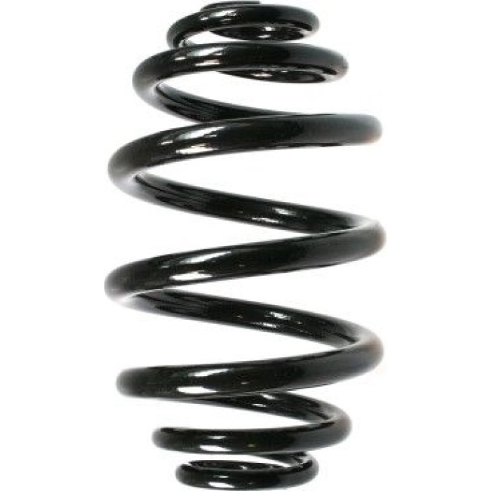 Spidan Fahrwerksfeder 48456 - Hinterachse Spidan Fahrwerksfeder 48456 - Hinterachse
