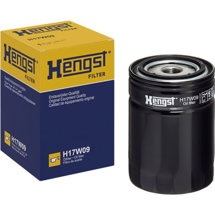 HENGST FILTER Luftfilter, Kompressor-Ansaugluft H17W09