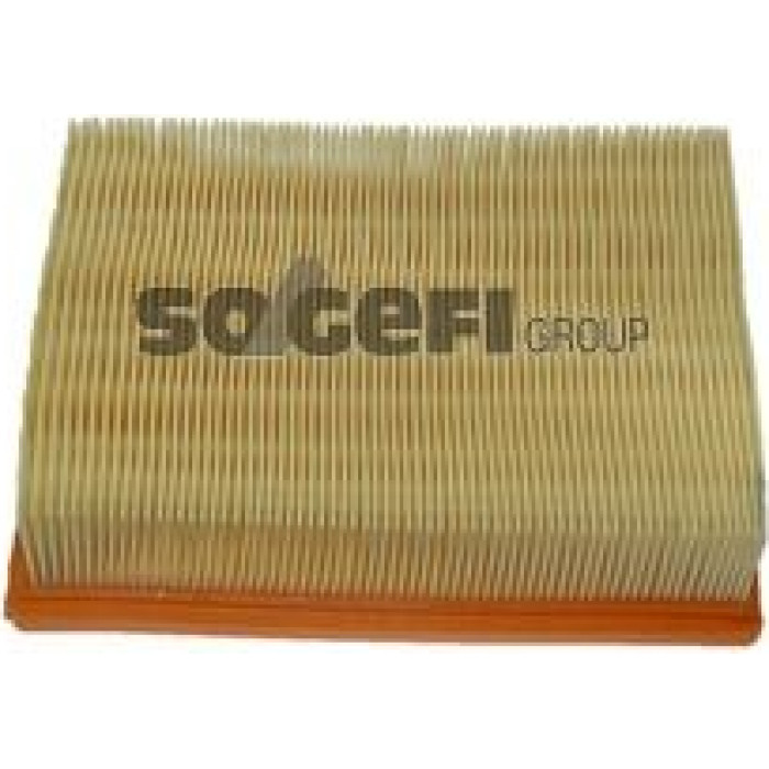 FRAM Luftfilter CA8824 FRAM Luftfilter CA8824