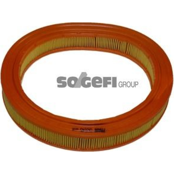 FRAM Luftfilter CA3145 FRAM Luftfilter CA3145