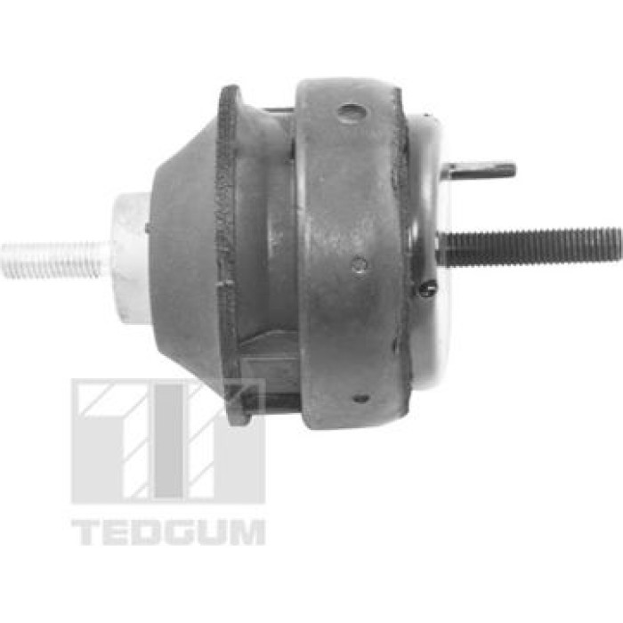 TEDGUM Motorlagerhalter 00221186 TEDGUM Motorlagerhalter 00221186