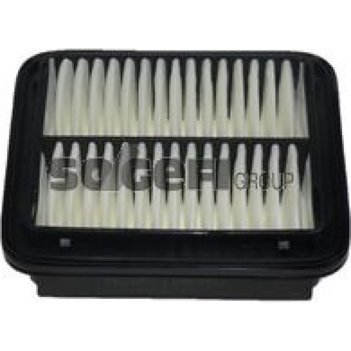 FRAM Luftfilter CA9738