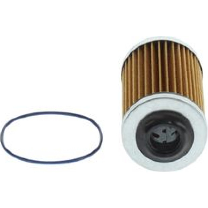 Bosch Ölfilter F 026 407 109 Bosch Ölfilter F 026 407 109