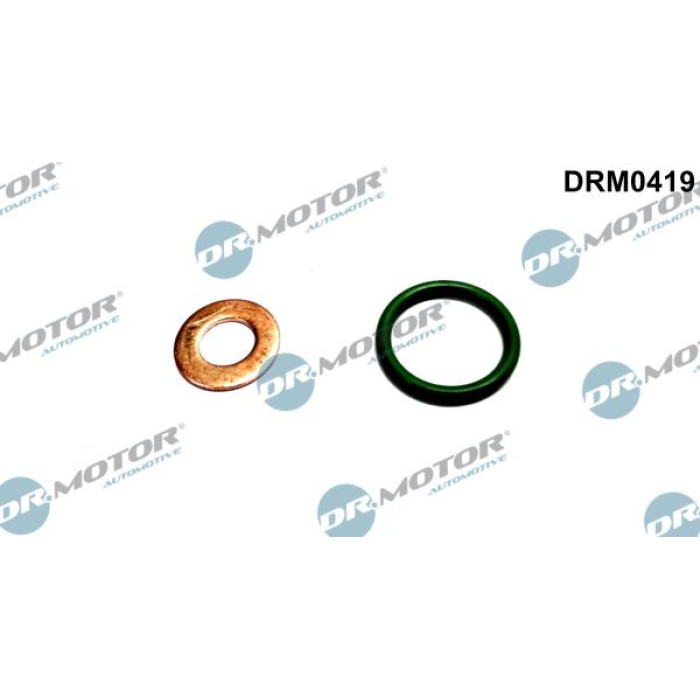 Einspritzdüse Dichtungssatz DRM0419 Einspritzdüse Dichtungssatz DRM0419