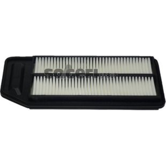 FRAM Luftfilter CA9564