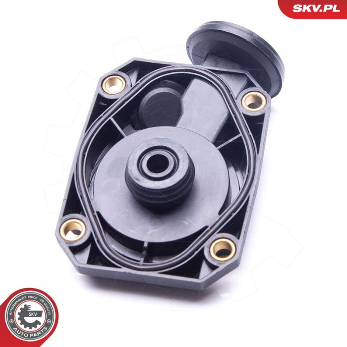 31SKV073 SKV GERMANY Ventil 31SKV073 31SKV073 SKV GERMANY Ventil 31SKV073