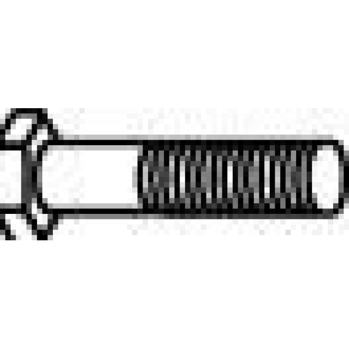 25 / SCHRAUBE, ABGASANLAGE 82934 25 / SCHRAUBE, ABGASANLAGE 82934
