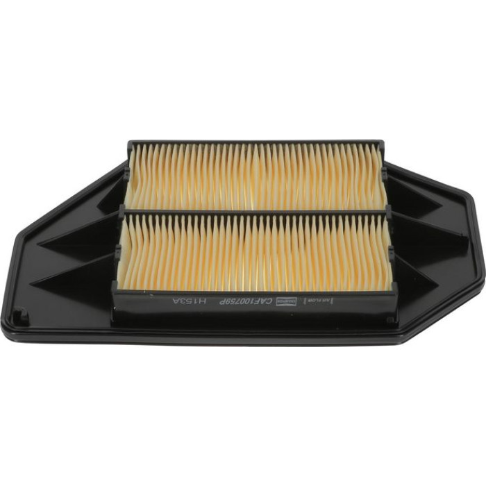 Champion Luftfilter CAF100759P