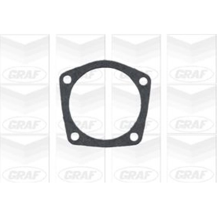 GRAF Wasserpumpe PA596 GRAF Wasserpumpe PA596