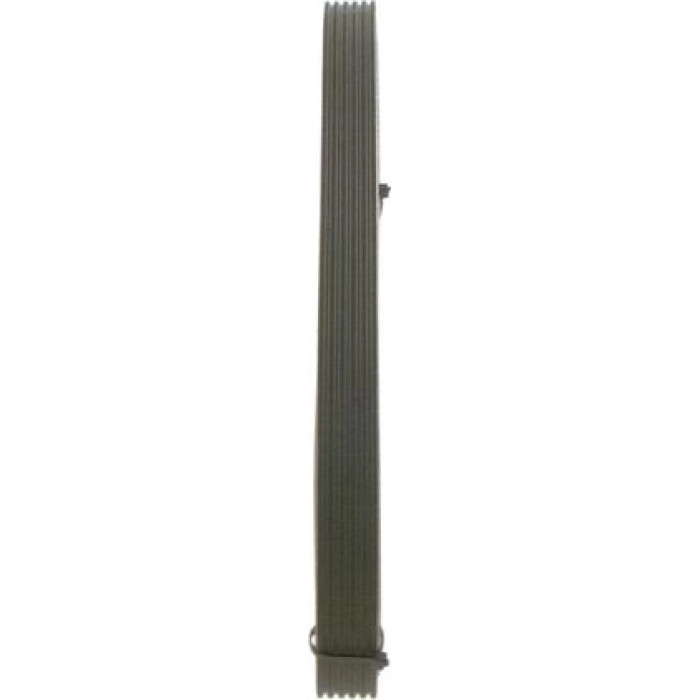 Bosch Keilrippenriemen 1987946211 Bosch Keilrippenriemen 1987946211