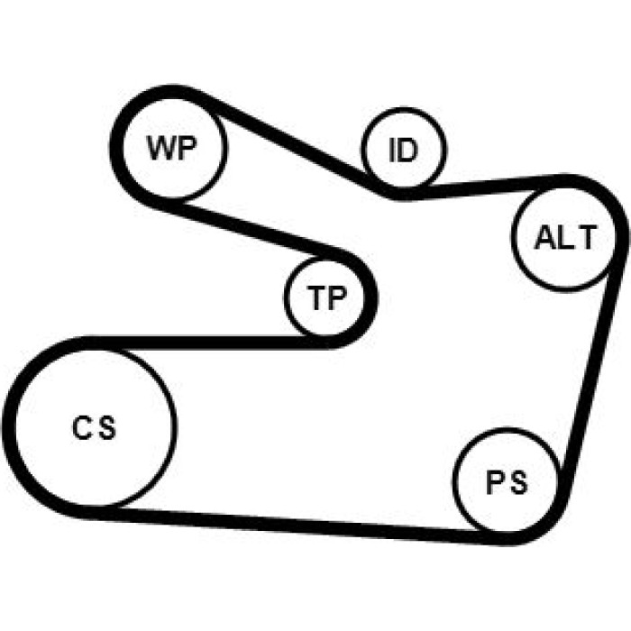 Continental CTAM Timing-Kit 6PK1733WP1 Continental CTAM Timing-Kit 6PK1733WP1