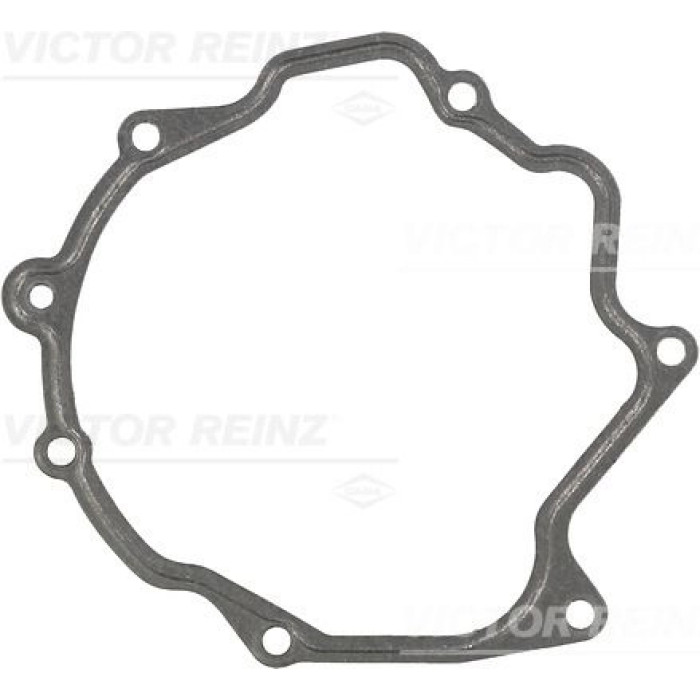 Reinz Vakuumpumpendichtung 71-31793-00 Reinz Vakuumpumpendichtung 71-31793-00