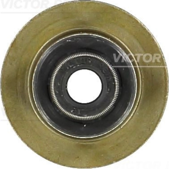 70-34343-00 Reinz Ventilschaftdichtung 70-34343-00