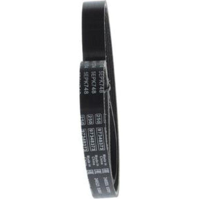 Bosch Keilrippenriemen 1 987 946 174 Bosch Keilrippenriemen 1 987 946 174