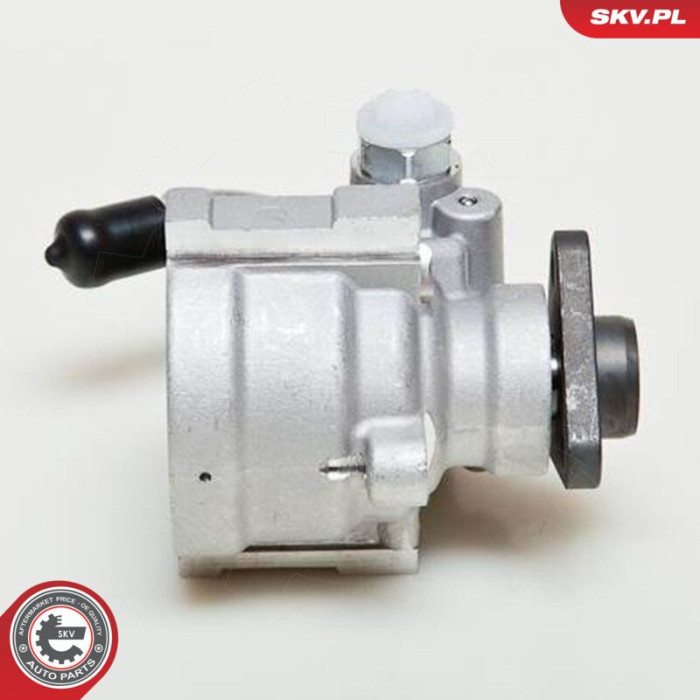 10SKV061 SKV GERMANY Hydraulikpumpe 10SKV061 10SKV061 SKV GERMANY Hydraulikpumpe 10SKV061