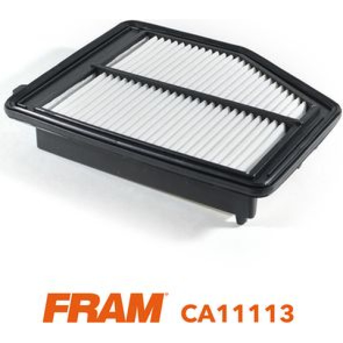FRAM Luftfilter CA11113 FRAM Luftfilter CA11113