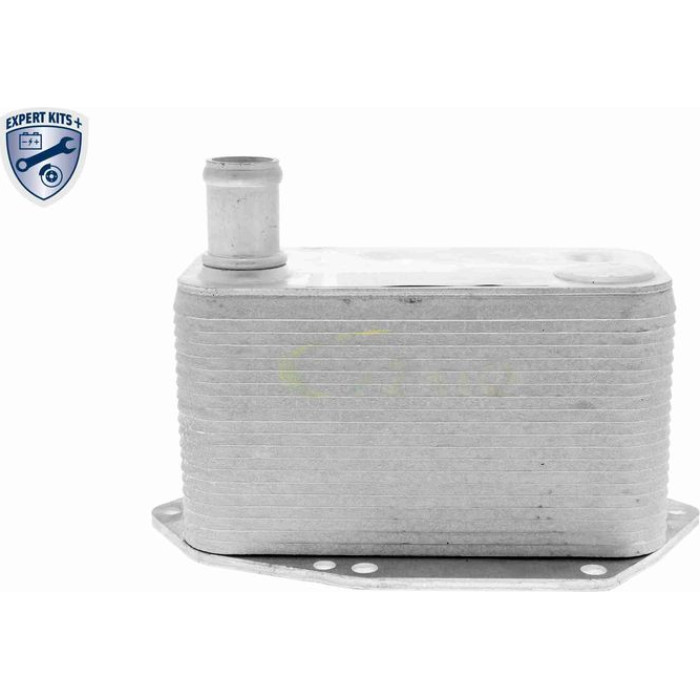 Vemo Motorölkühler V20-60-0057 Vemo Motorölkühler V20-60-0057