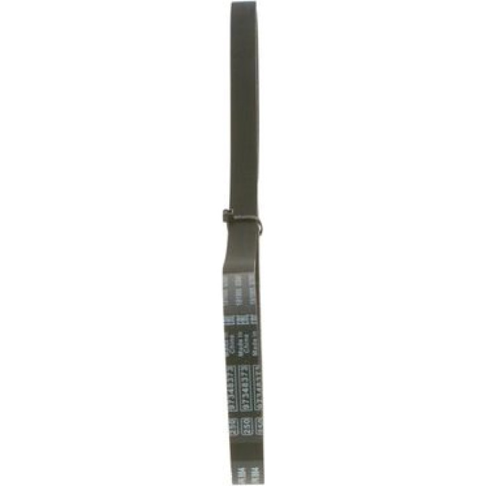 Bosch Keilrippenriemen 1987947807 Bosch Keilrippenriemen 1987947807