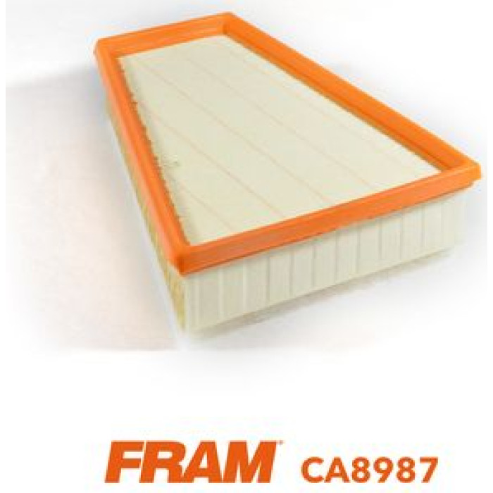 FRAM Luftfilter CA8987