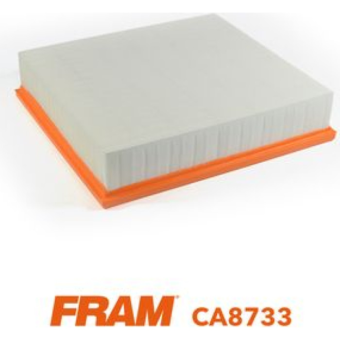 FRAM Luftfilter CA8733