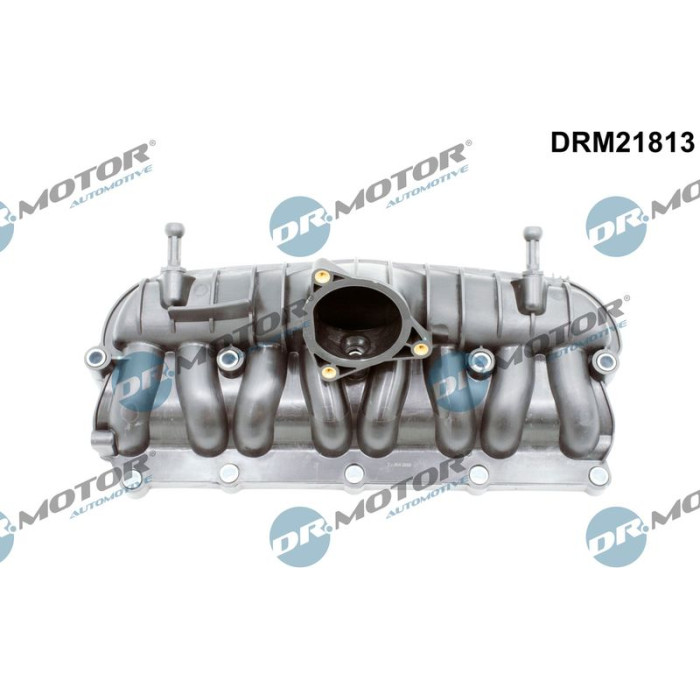 DR.MOTOR Saugrohrmodul DRM21813 DR.MOTOR Saugrohrmodul DRM21813