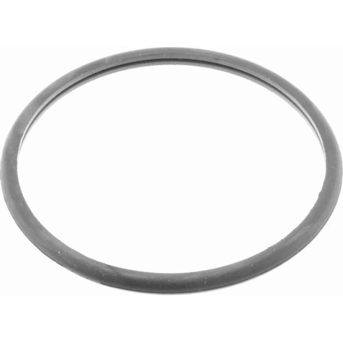 V42-0008 Vaico Kraftstofffilter V42-0008 V42-0008 Vaico Kraftstofffilter V42-0008