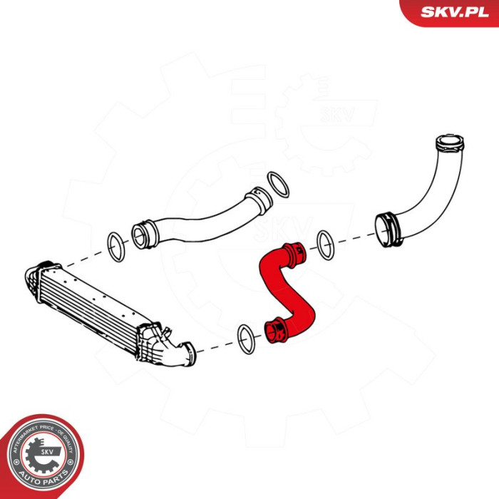 24SKV636 SKV GERMANY Luftschlauch 24SKV636 24SKV636 SKV GERMANY Luftschlauch 24SKV636
