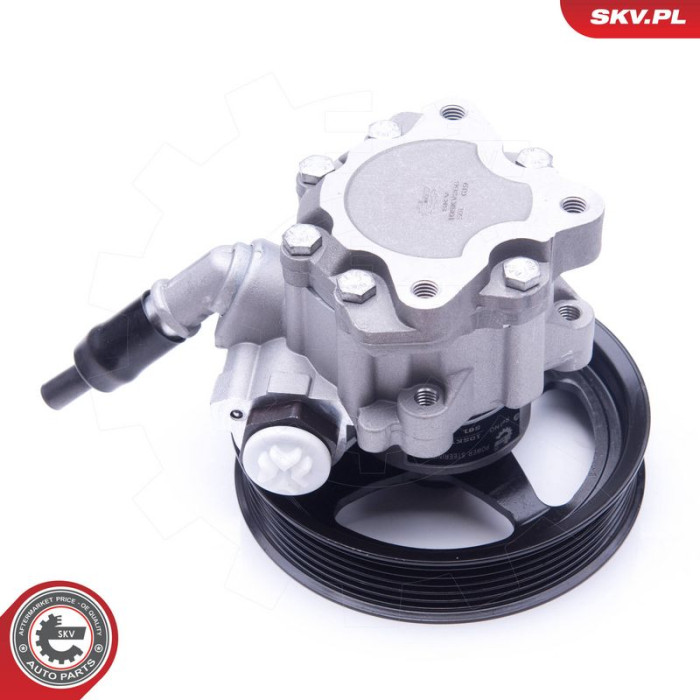 10SKV266 SKV GERMANY Hydraulikpumpe 10SKV266 10SKV266 SKV GERMANY Hydraulikpumpe 10SKV266