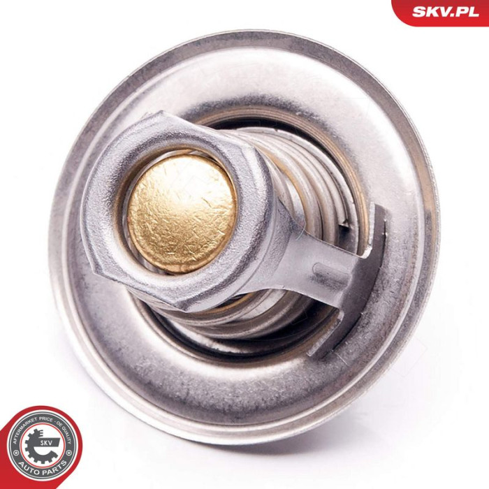 20SKV058 SKV GERMANY Thermostat 20SKV058 20SKV058 SKV GERMANY Thermostat 20SKV058