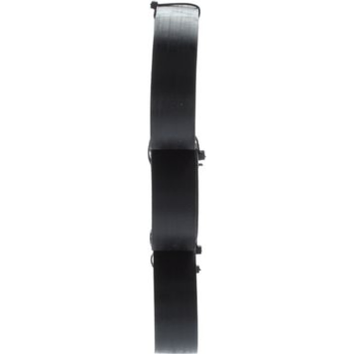 Bosch Keilrippenriemen 1987946255 Bosch Keilrippenriemen 1987946255
