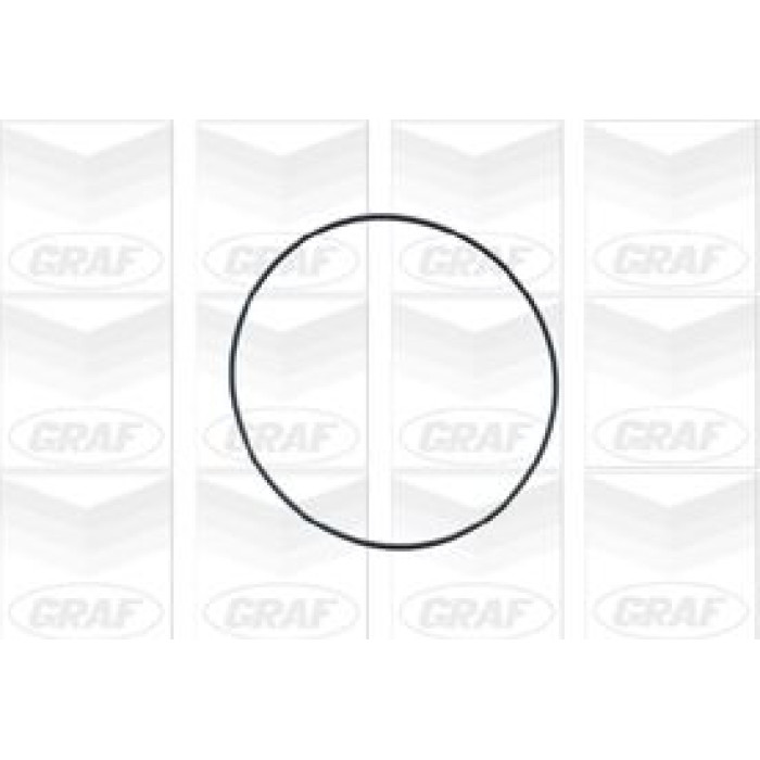 GRAF Wasserpumpe PA347 GRAF Wasserpumpe PA347
