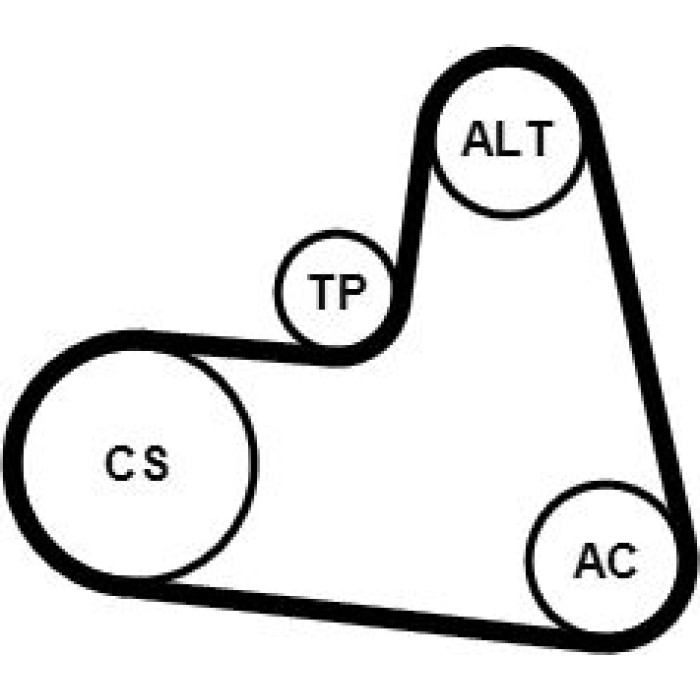 6PK1217K1 Continental CTAM Satz Gürtel 6PK1217K1