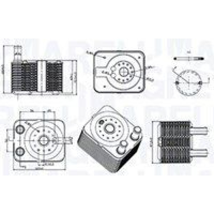 Magneti Marelli Ölkühler RO0031 - Motoröl